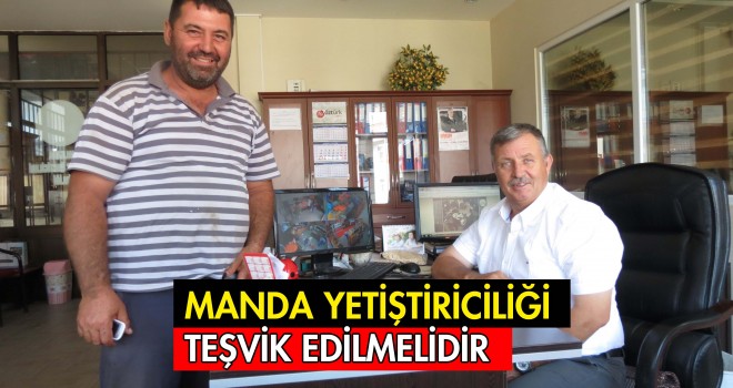 Manda Yetiştiriciliği Teşvik Edilmelidir
