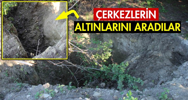 Defineciler Boş Durmuyor!