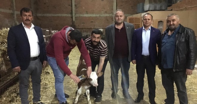 Tekirdağ DSYB Kulak Küpesi Uygulamasına Başladı