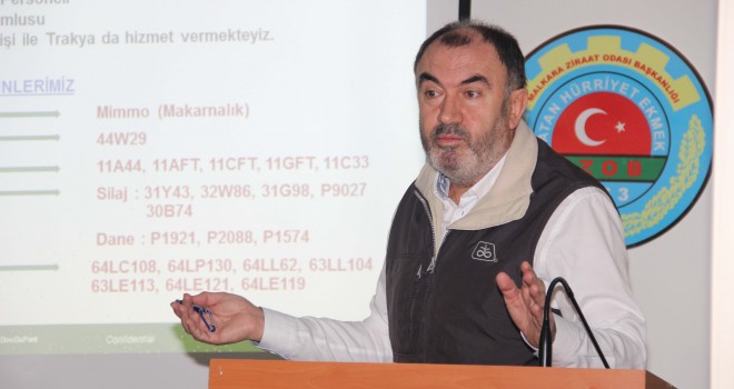 Ayçiçeği Hastalıkları Anlatıldı