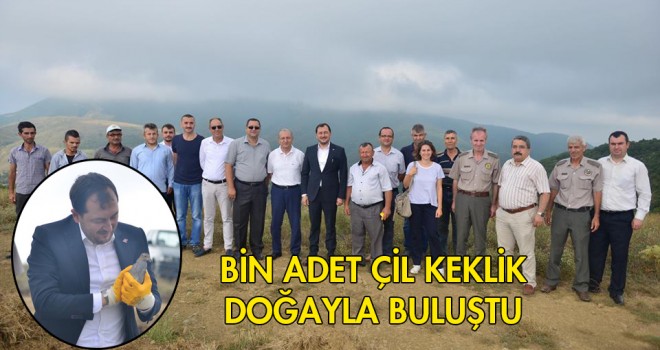 BİN ADET ÇİL KEKLİK DOĞAYLA BULUŞTU