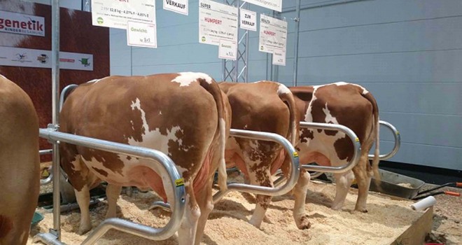 TEKİRDAĞ DSYB’DEN FUAR GEZİSİ