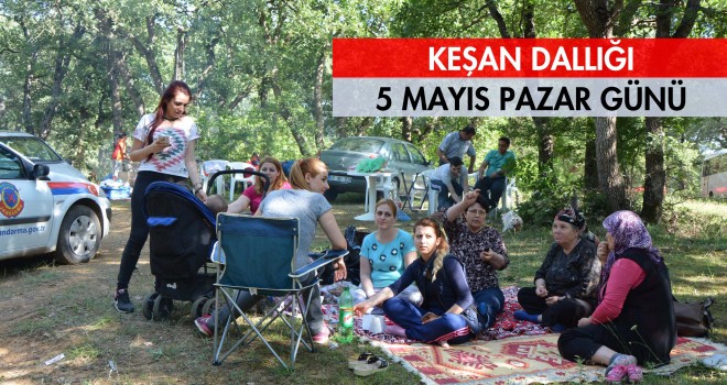 Keşan Dallığı 5 Mayıs’ta
