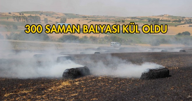 300 SAMAN BALYASI KÜL OLDU