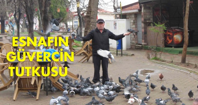 KENDİNİ KUŞLARA ADADI