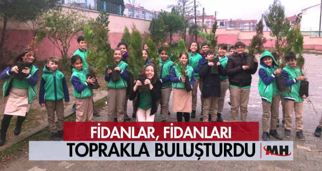 4 Bin Ağaç Toprakla Buluştu