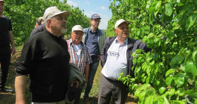 Çiftçilere Uygulamalı Budama Eğitimi