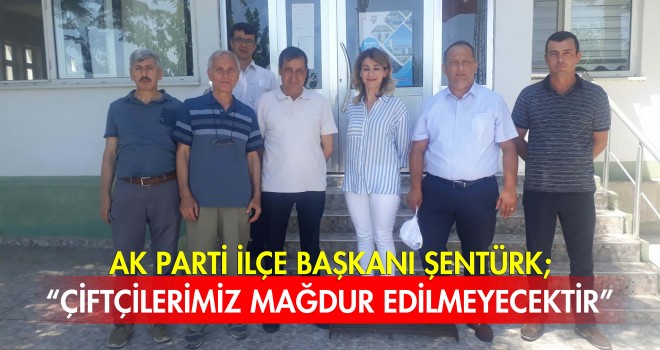 TMO Buğday Alımına Başladı