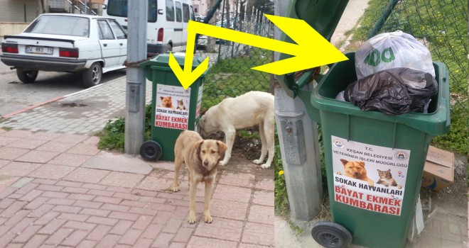 Bayat Ekmek Kutuları Çöp Kutusu Değildir