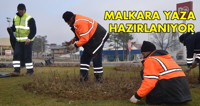 Yeşil Alanlara Bakımlar Devam Ediyor