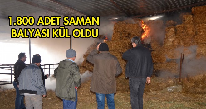 Bin Sekiz Yüz Adet Saman Balyası Kül Oldu