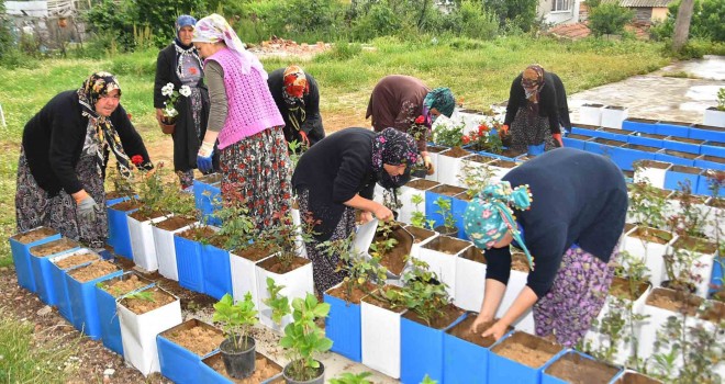 Elmalı Mahallesinde “Çiçek Dikim Etkinliği” Gerçekleştirildi