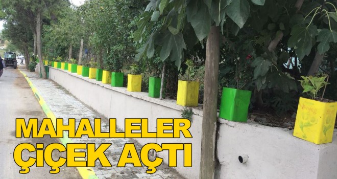 Atıklar Değerlendiriliyor, Mahalleler Çiçekleniyor