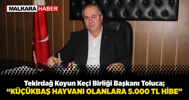 Başkan Toluca; “Küçükbaş Hayvanı Olanlara 5.000 TL Hibe”