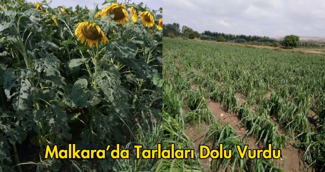 Ekili Tarım Arazilerini Dolu Vurdu