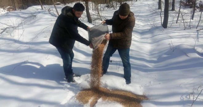 Yaban Hayatı Unutulmadı
