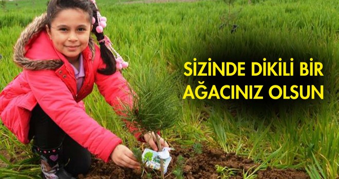 Sizinde Dikili Bir Ağacınız Olsun