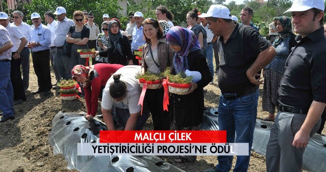 Malkara Belediyesine Bir Ödül Daha