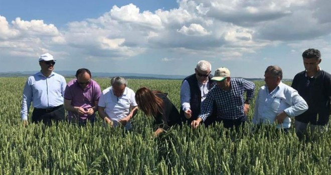 Dolu Yağışının Zararı Tespit Edildi