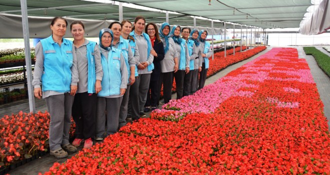 Çiftçinin Yüzünü Güldürecek Proje Hizmete Girdi