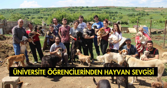 Umutlu Eller’den Umutlu Kuyruklara Yardım Eli