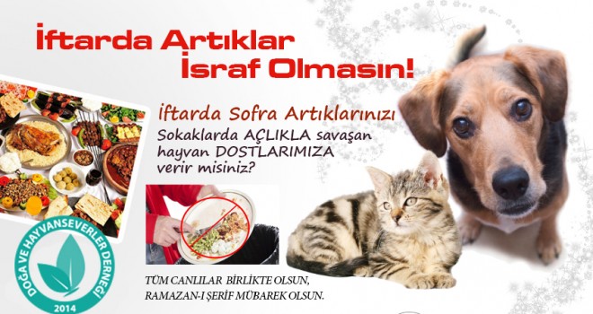 Ramazanda Artan Yemekleri, Sokak Hayvanlarına Verelim