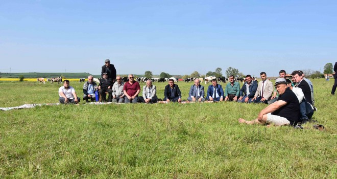 Ekonomik Krizde Hayvancılığa Büyük Destek