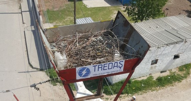 TREDAŞ, Leyleklerin Can Güvenliği İçin Elektrik Direğine Yuva Yaptı