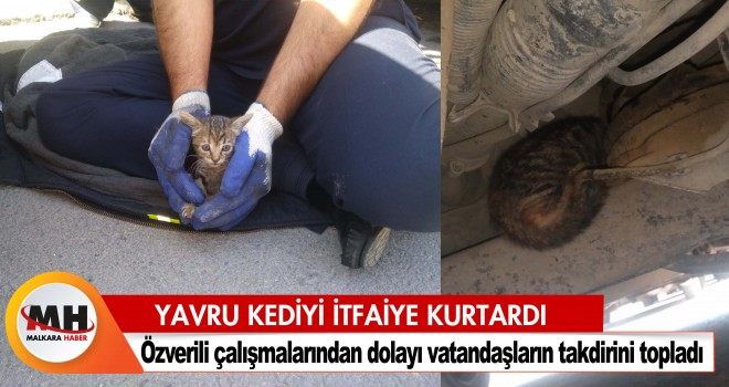 YAVRU KEDİYİ İTFAİYE KURTARDI