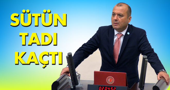 Süt Üreticisi Gerçek Çözüm Bekliyor