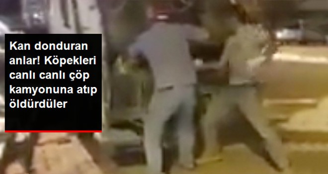 Yavru Köpekleri Canlı Canlı Çöp Kamyonuna Atıp Öldürdüler