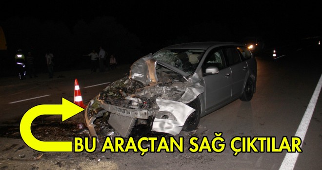 BURUNLARI BİLE KANAMADI