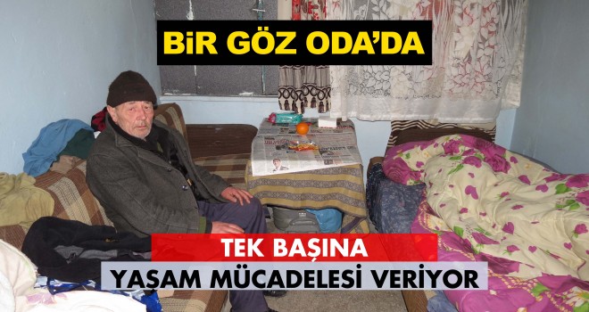 Tek Başına Yaşam Mücadelesi Veriyor