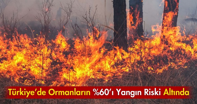 Orman yangınlarına dikkat!