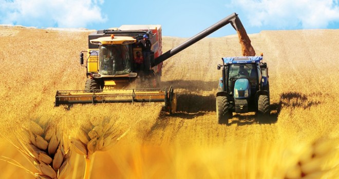 Tekirdağ’da Hasat Coşkusu Başlıyor