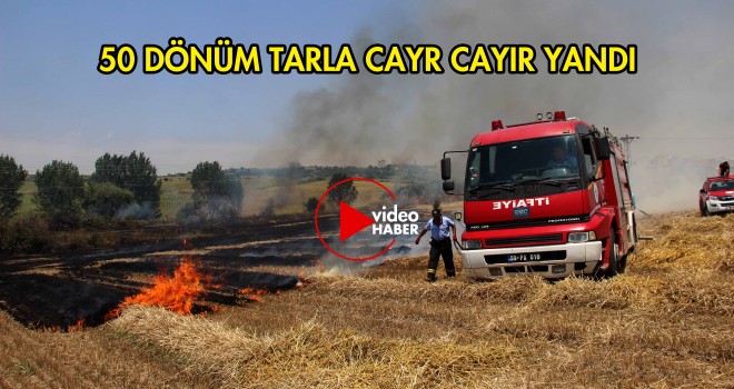 50 Dönümlük Tarla Alev Alev Yandı