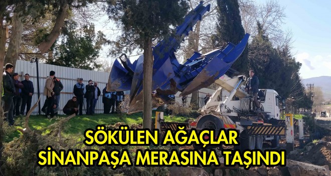 Belediye Başkanı Yurdakul, Ağaç Konusunda Hassasız