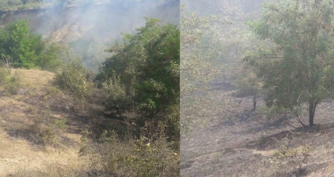 10 Dönüm Makilik ve Otluk Alan Yandı