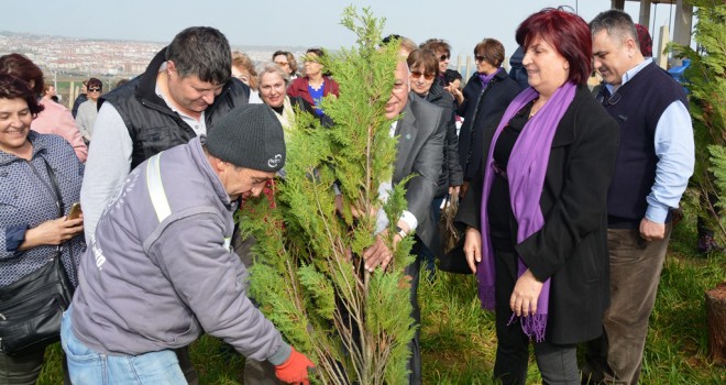 Şiddete kurban giden kadınlar hatıra ormanında yaşayacak