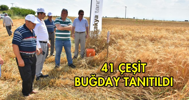 Malkara’da Tarla Günü Etkinliği