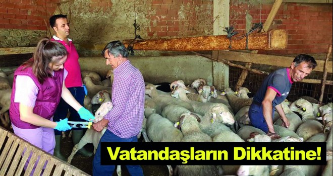 Kurban Bayramı Öncesi Vatandaşlarımızın Dikkatine!