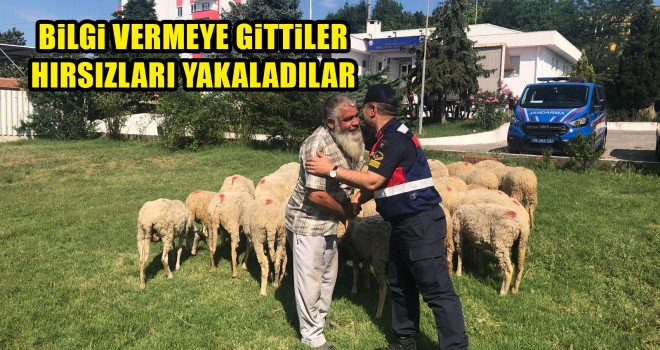 Koyun Hırsızları Ergene’de Yakalandı