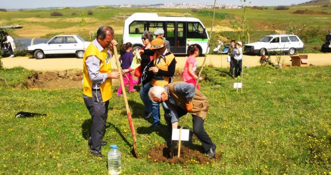 Ulu Çınarlarımızla Ağaç Dikiyoruz Etkinliği Büyük İlgi Gördü