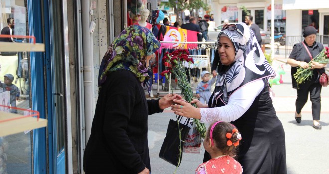 AK Parti Milletvekili Adayları Karanfil Dağıttı