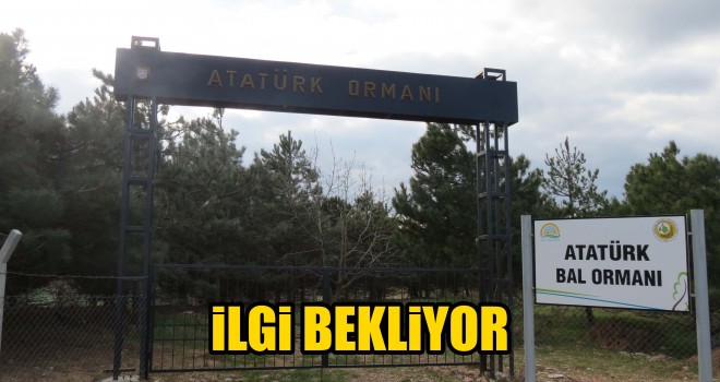 Doğayı Koruyamıyoruz!