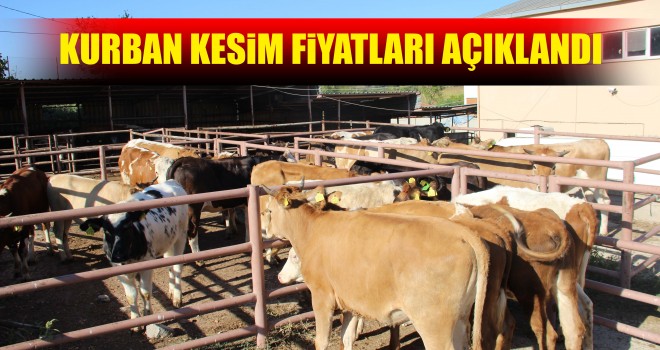 Kurbanlık Kesim Fiyatları Açıklandı