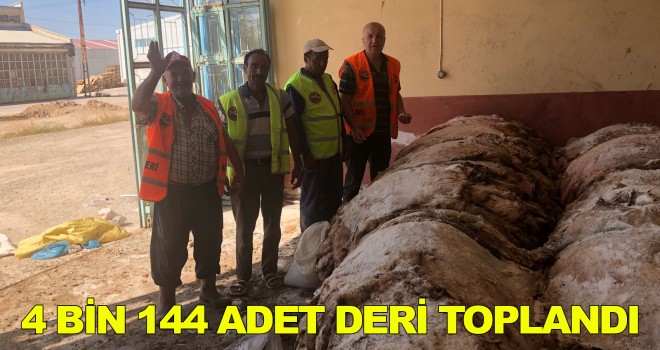 MALKARA THK 4 BİN 144 ADET DERİ TOPLADI