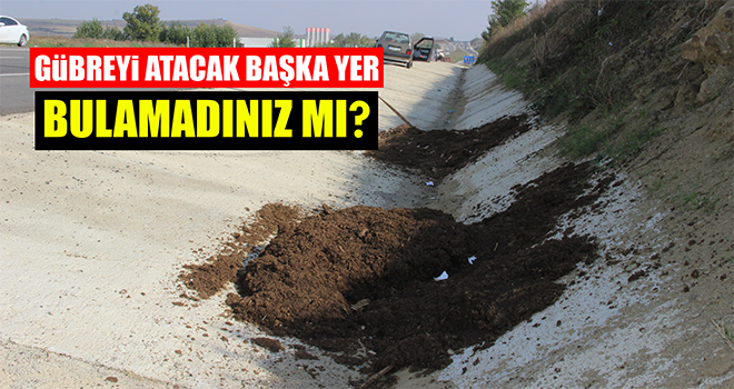 Yola Hayvan Gübresi Döktüler