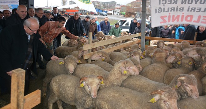 Tekirdağ Büyükşehir Belediyesi’nden Hayvancılığa Büyük Destek