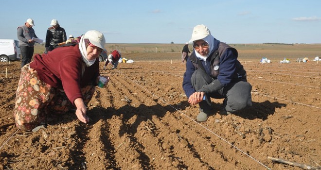 Kadınımızı Topraktan Uzaklaştırıyoruz!